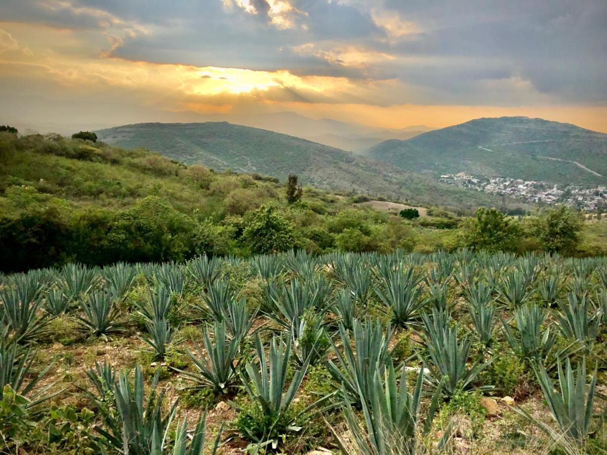 Beautiful Apartment In Oaxaca City'S Best Location المظهر الخارجي الصورة